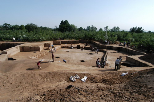 考古发现 河南省文物考古研究所马小林副所长(博士)在灵宝西坡遗址